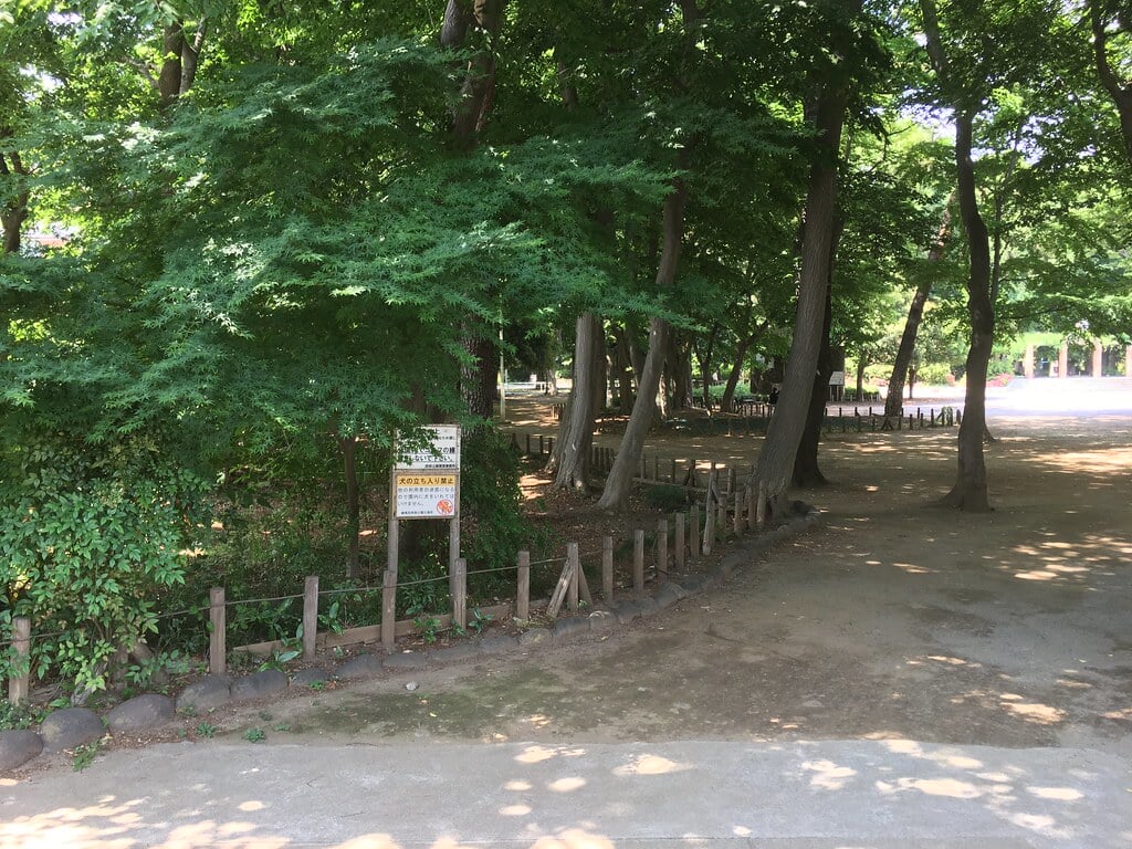 大泉公園の写真5
