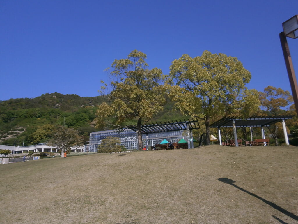 尾道市因島フラワーセンターの写真3