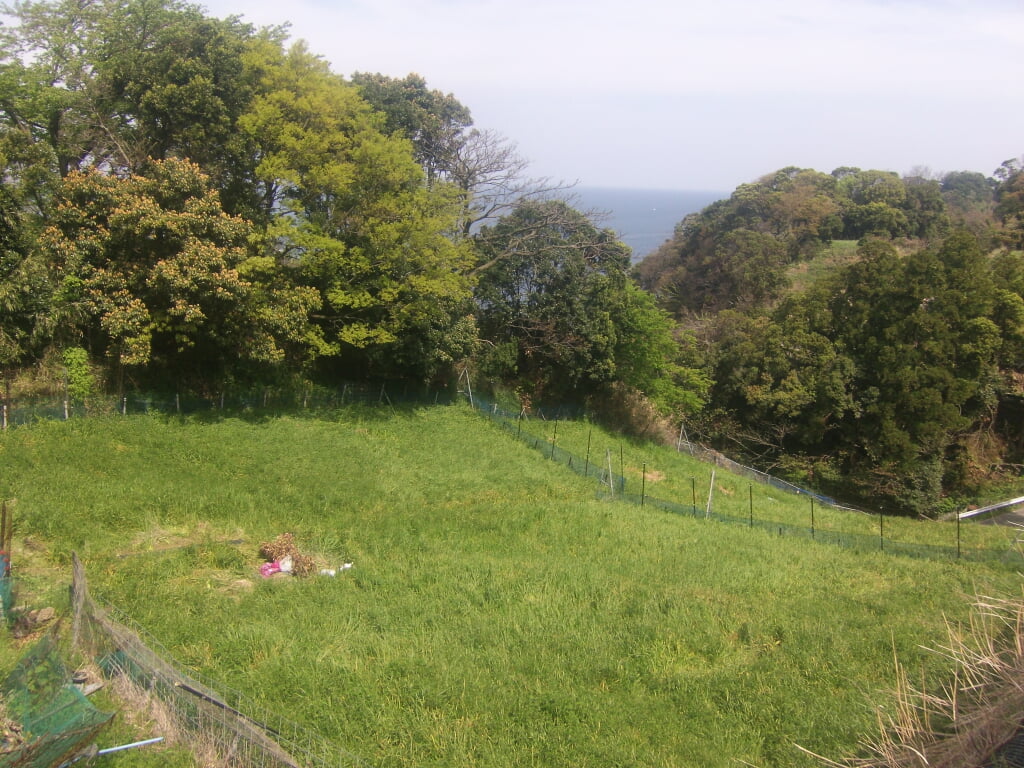 越前海岸の写真3