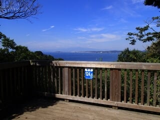 神奈川県立 はやま三ヶ岡山緑地の写真2