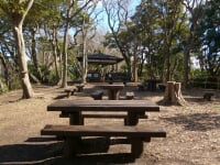 神奈川県立 はやま三ヶ岡山緑地