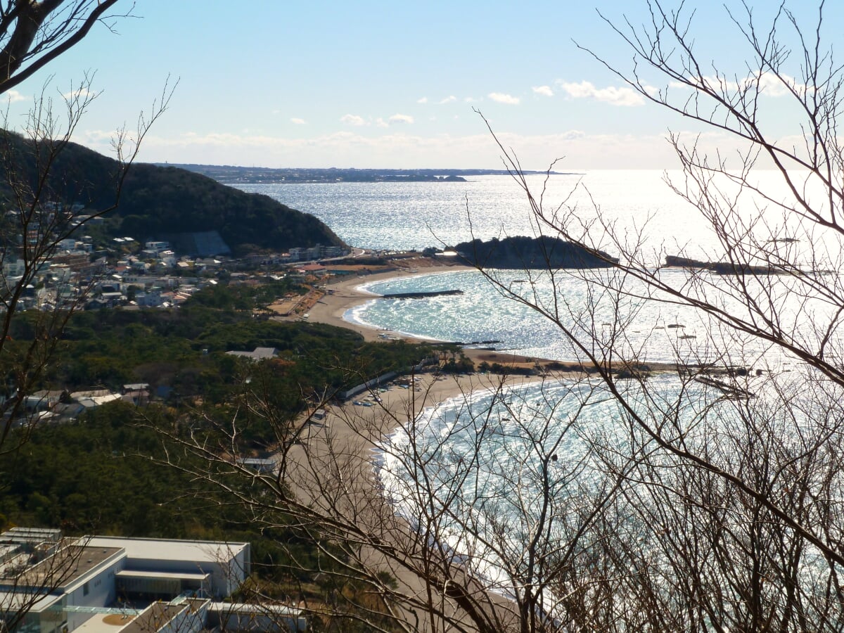 神奈川県立 はやま三ヶ岡山緑地の写真3