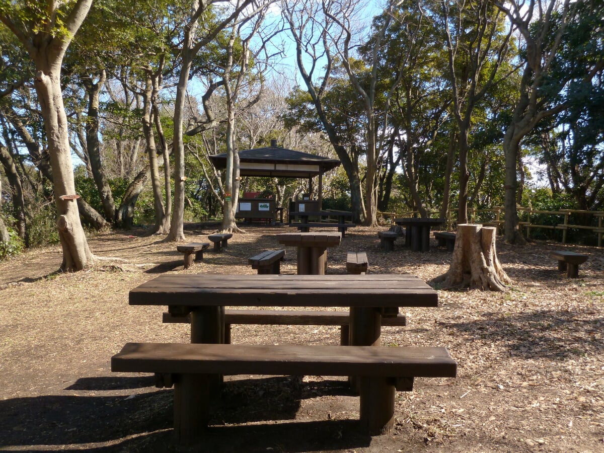 神奈川県立 はやま三ヶ岡山緑地の写真1