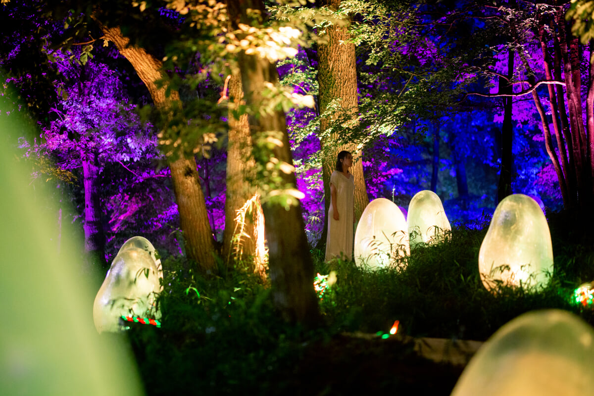 武蔵野樹林パーク・チームラボどんぐりの森の呼応する生命の写真2