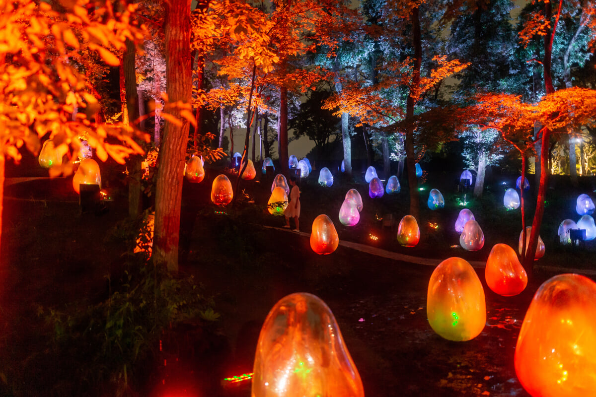 武蔵野樹林パーク・チームラボどんぐりの森の呼応する生命の写真5