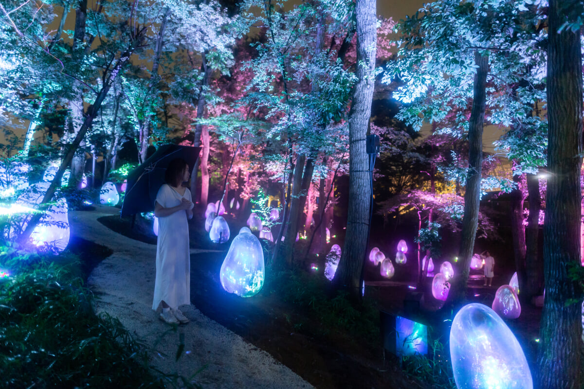 武蔵野樹林パーク・チームラボどんぐりの森の呼応する生命の写真8