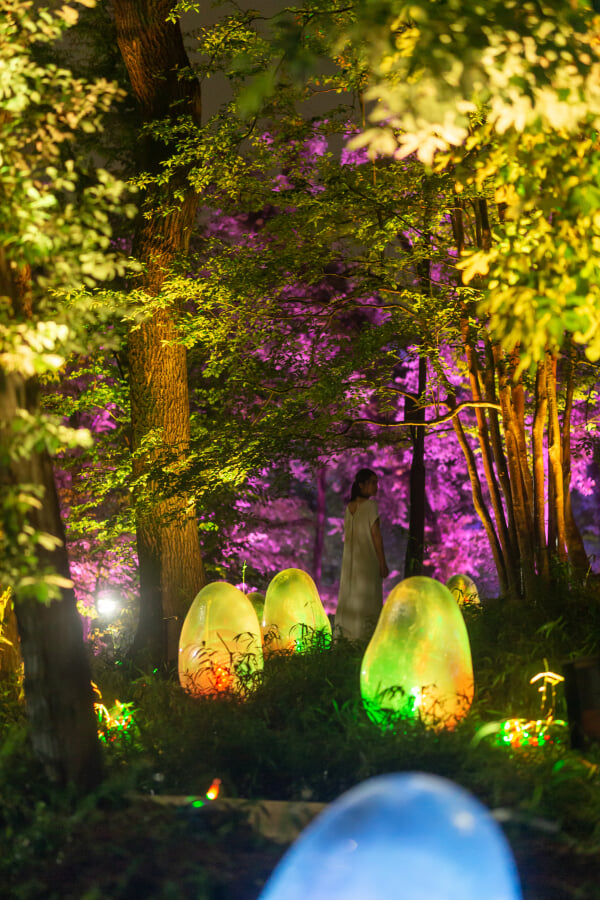 武蔵野樹林パーク・チームラボどんぐりの森の呼応する生命の写真9