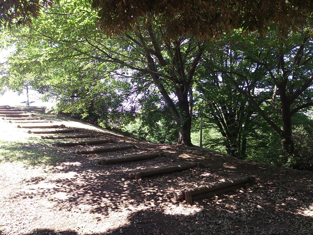 足利公園の写真1