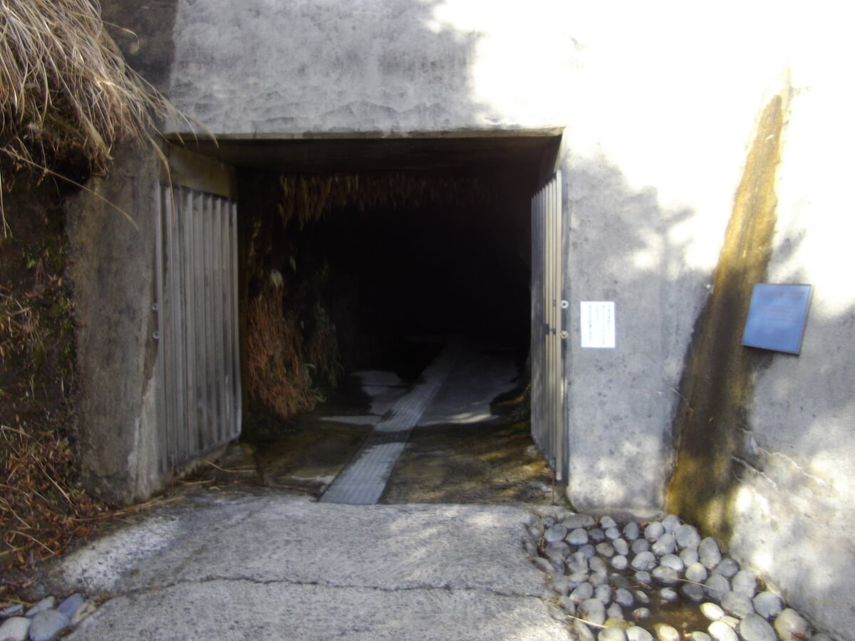 瑞浪市化石博物館の写真2