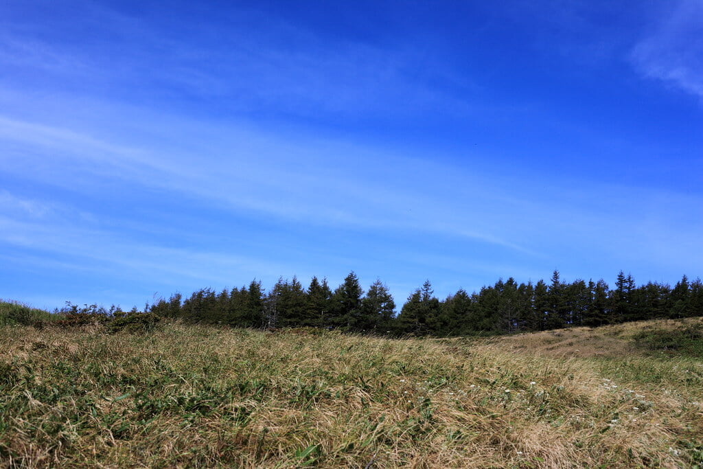 美ヶ原高原の写真2