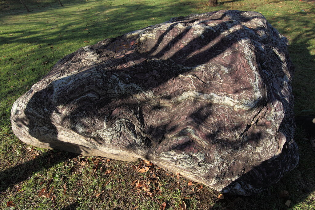 北柏ふるさと公園の写真4