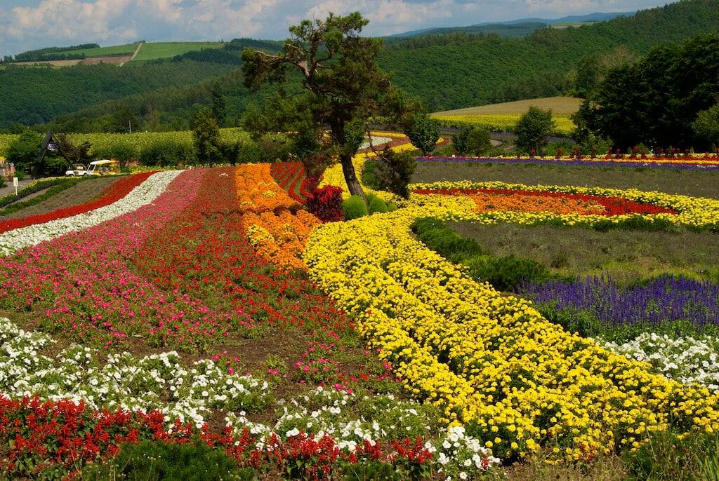 ぜるぶの丘の写真3