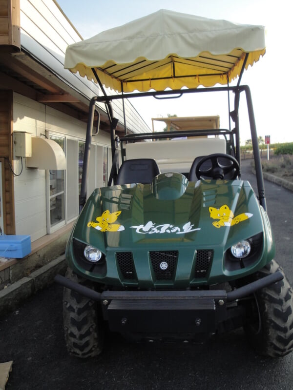 ぜるぶの丘の写真7