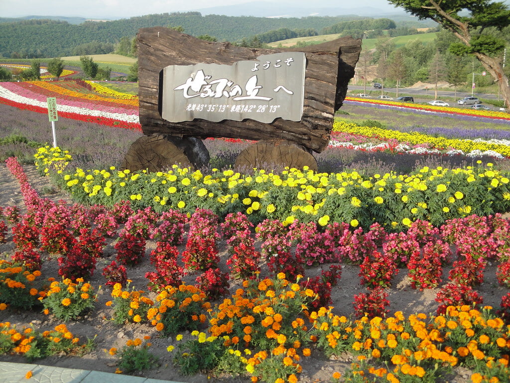 ぜるぶの丘の写真8