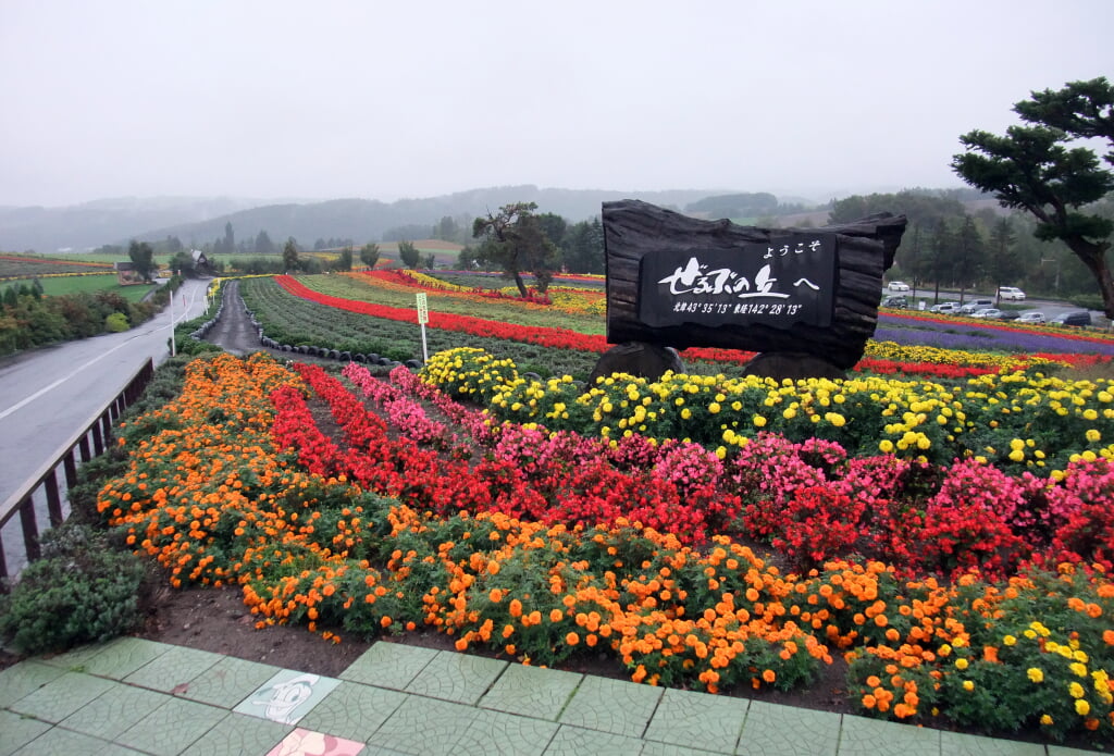 ぜるぶの丘の写真9