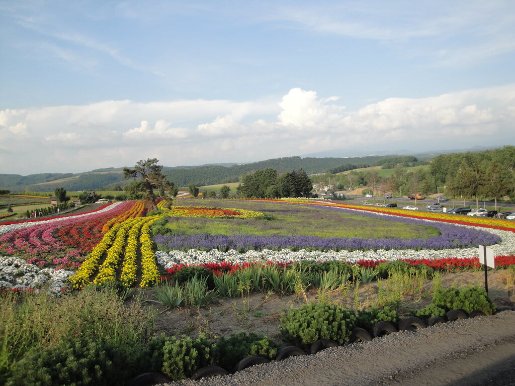 ぜるぶの丘の写真10