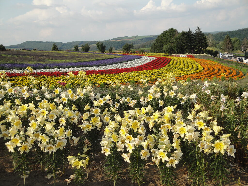ぜるぶの丘の写真11