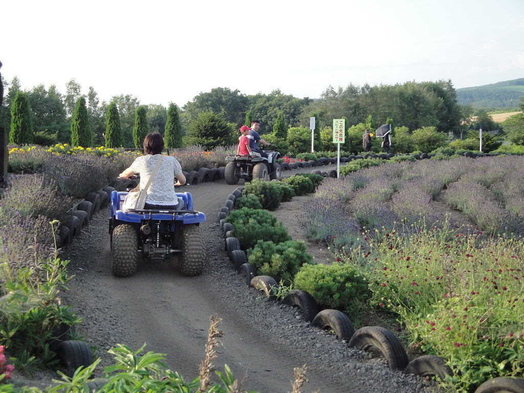 ぜるぶの丘の写真12