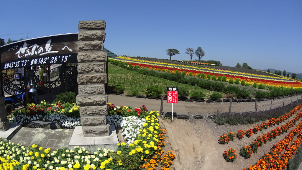 ぜるぶの丘の写真14