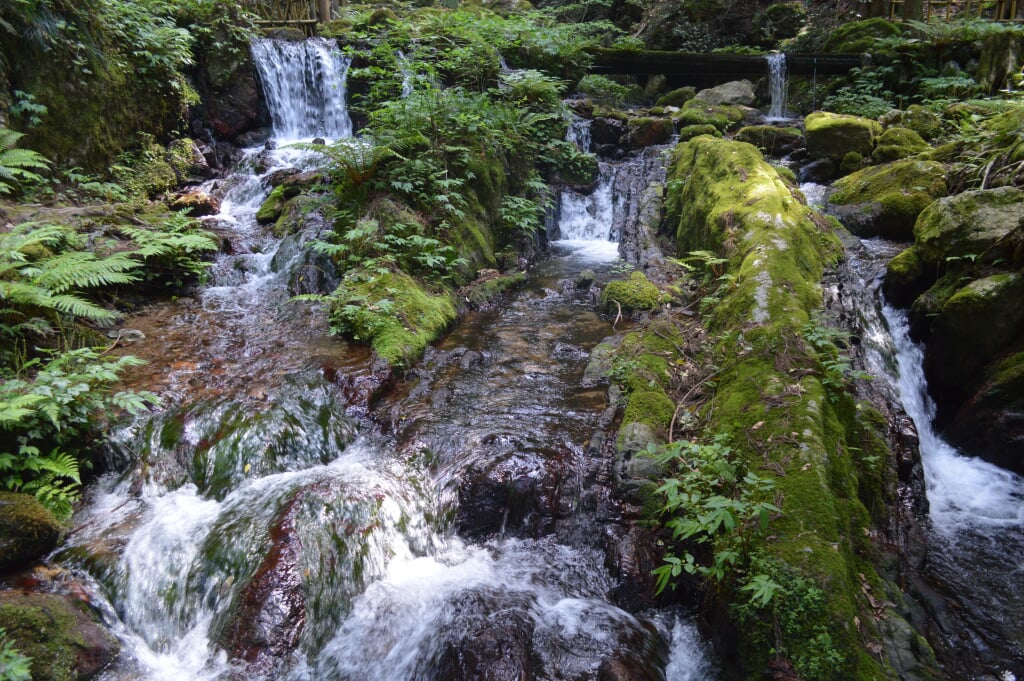 瓜割の滝の写真3