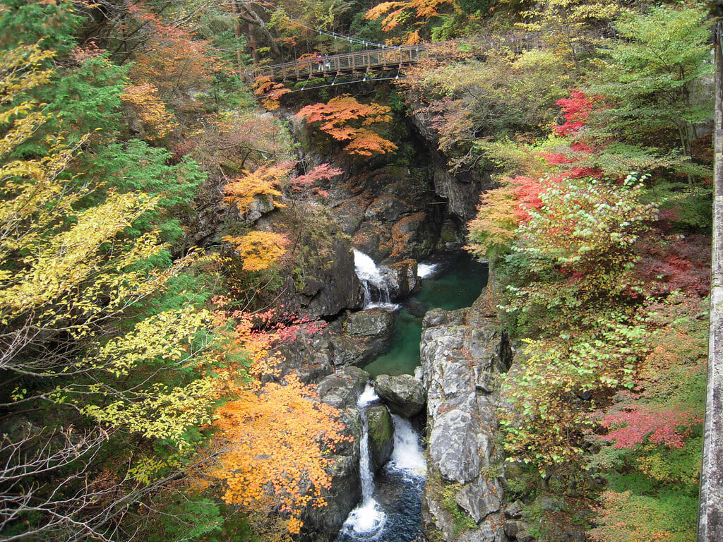 みたらい渓谷の写真2