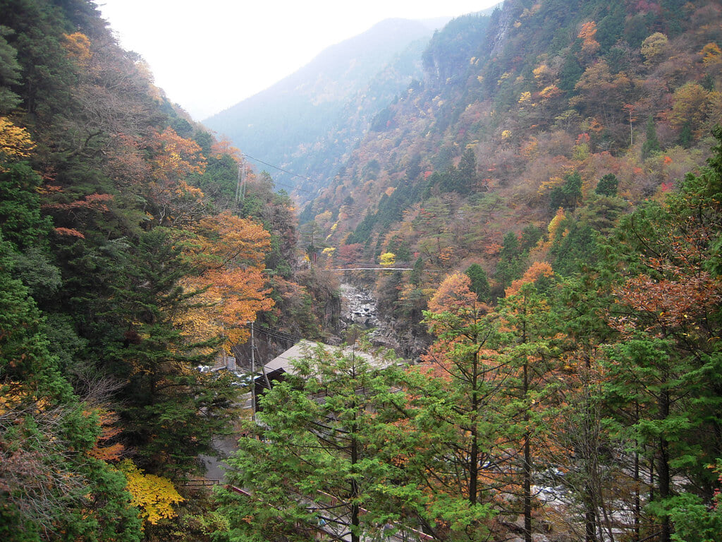 みたらい渓谷の写真3