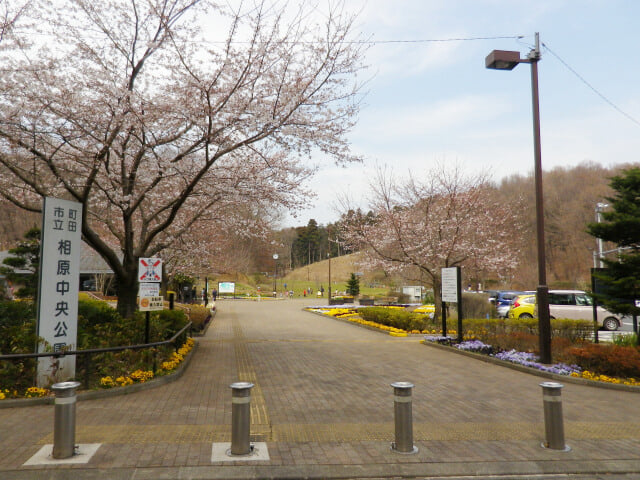 相原中央公園の写真3