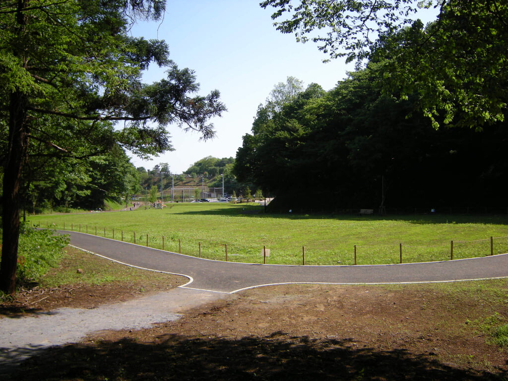 相原中央公園の写真4