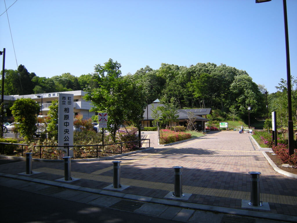 相原中央公園の写真1