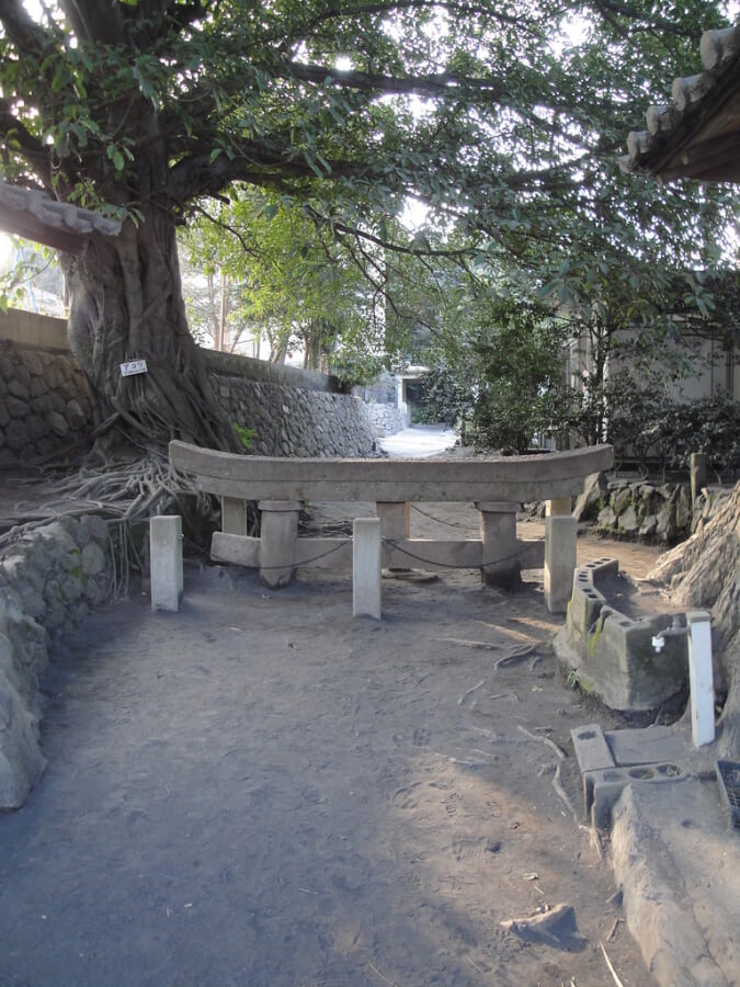 黒神埋没鳥居の写真2