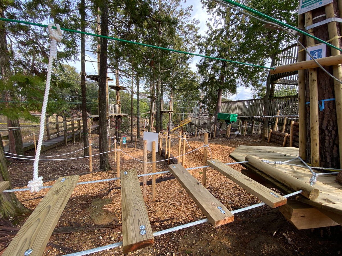 ボウケンノモリ 太陽が丘店の写真4