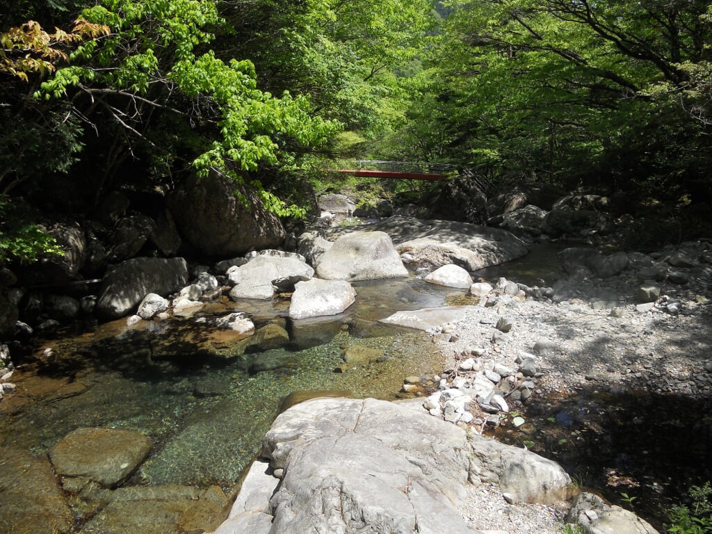 片知渓谷の写真1