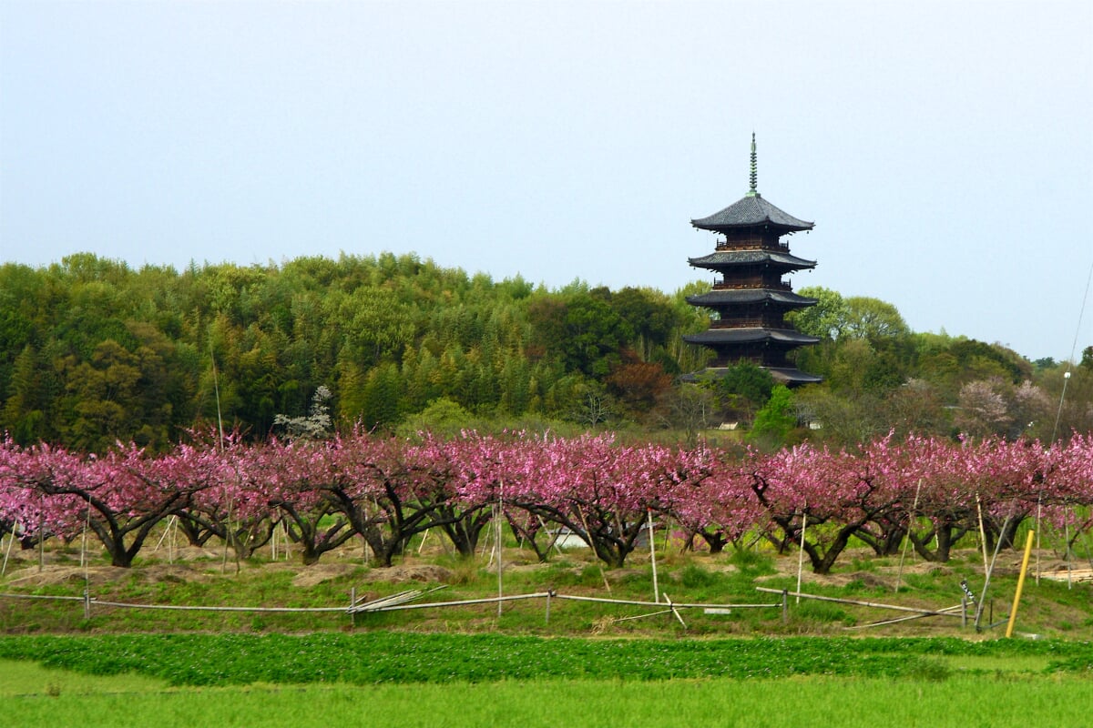 備中国分寺の写真1