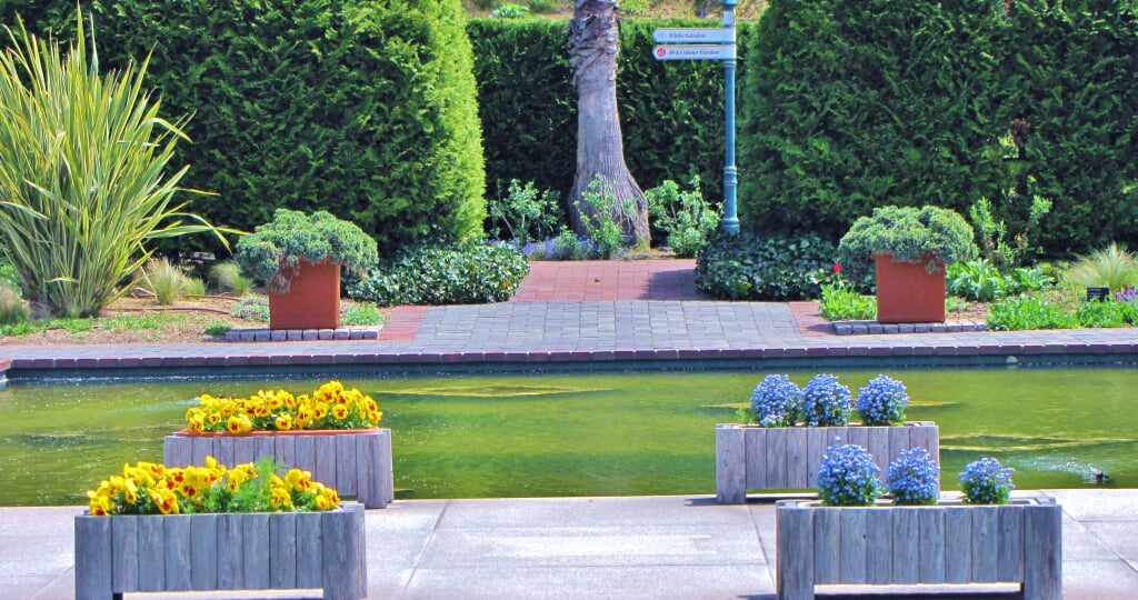 深山イギリス庭園の写真6