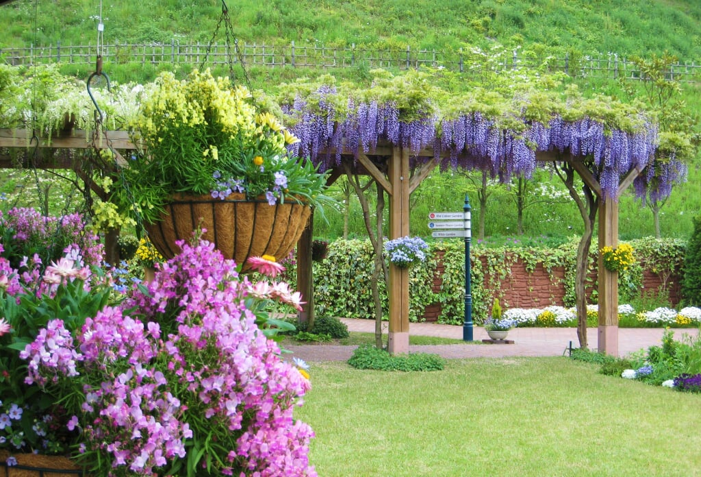 深山イギリス庭園の写真8