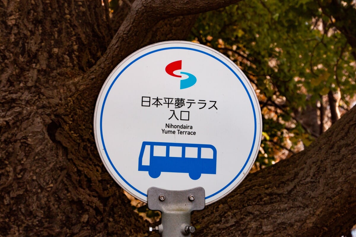 日本平夢テラスの写真8