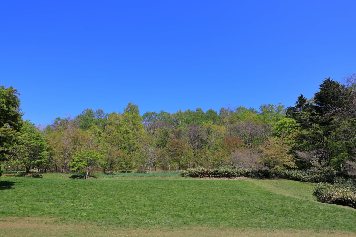 長橋なえぼ公園の写真4