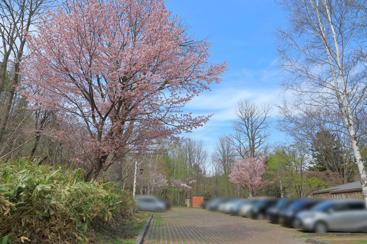 長橋なえぼ公園の写真5