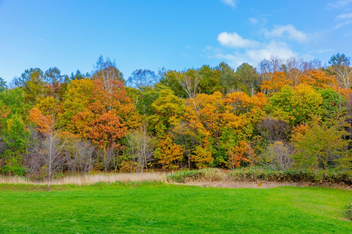 長橋なえぼ公園の写真1