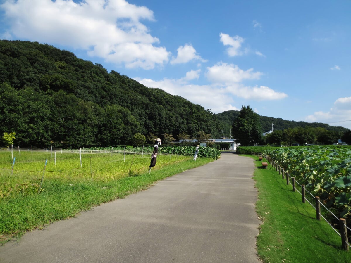 岩宿博物館の写真3