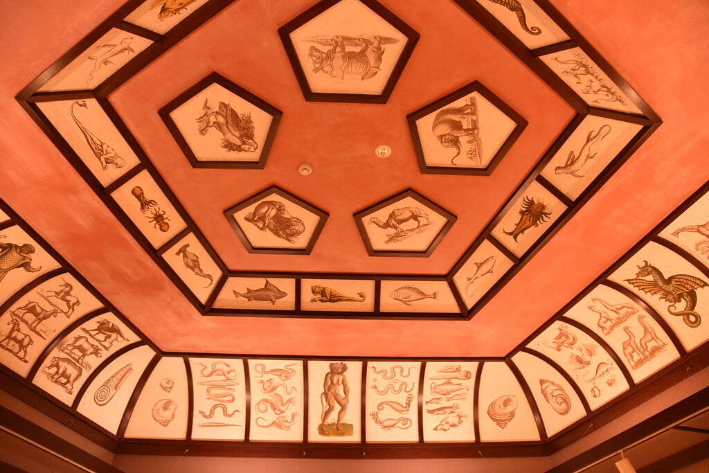 津山洋学資料館の写真5