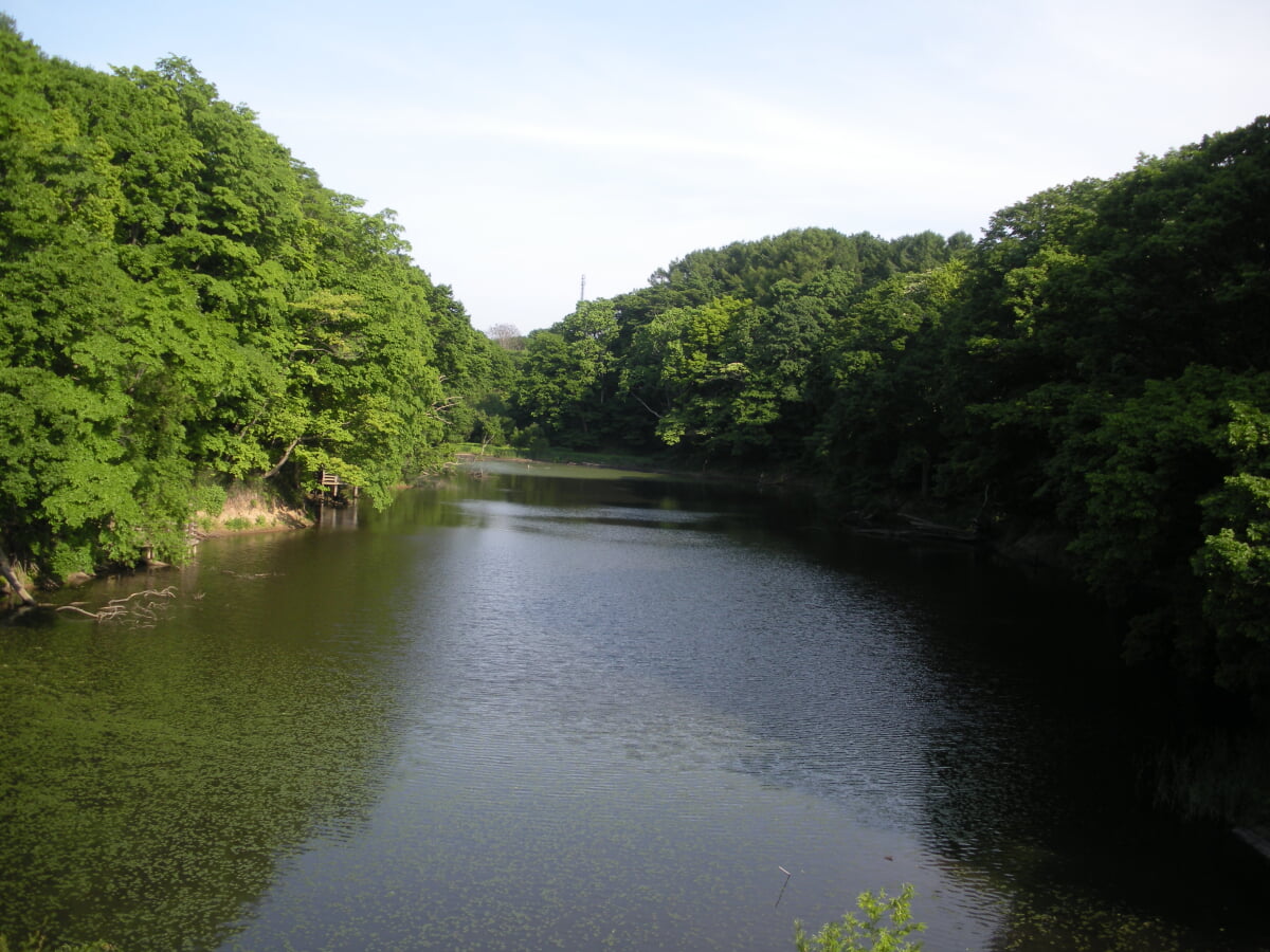 大麻中央公園の写真1