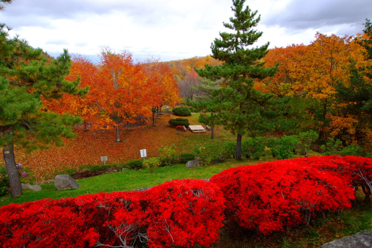 西岡公園の写真6
