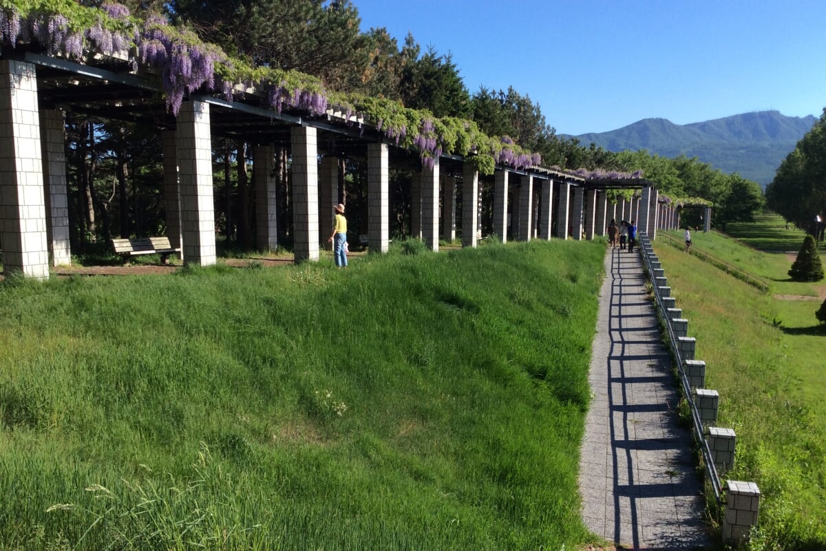 前田公園の写真2