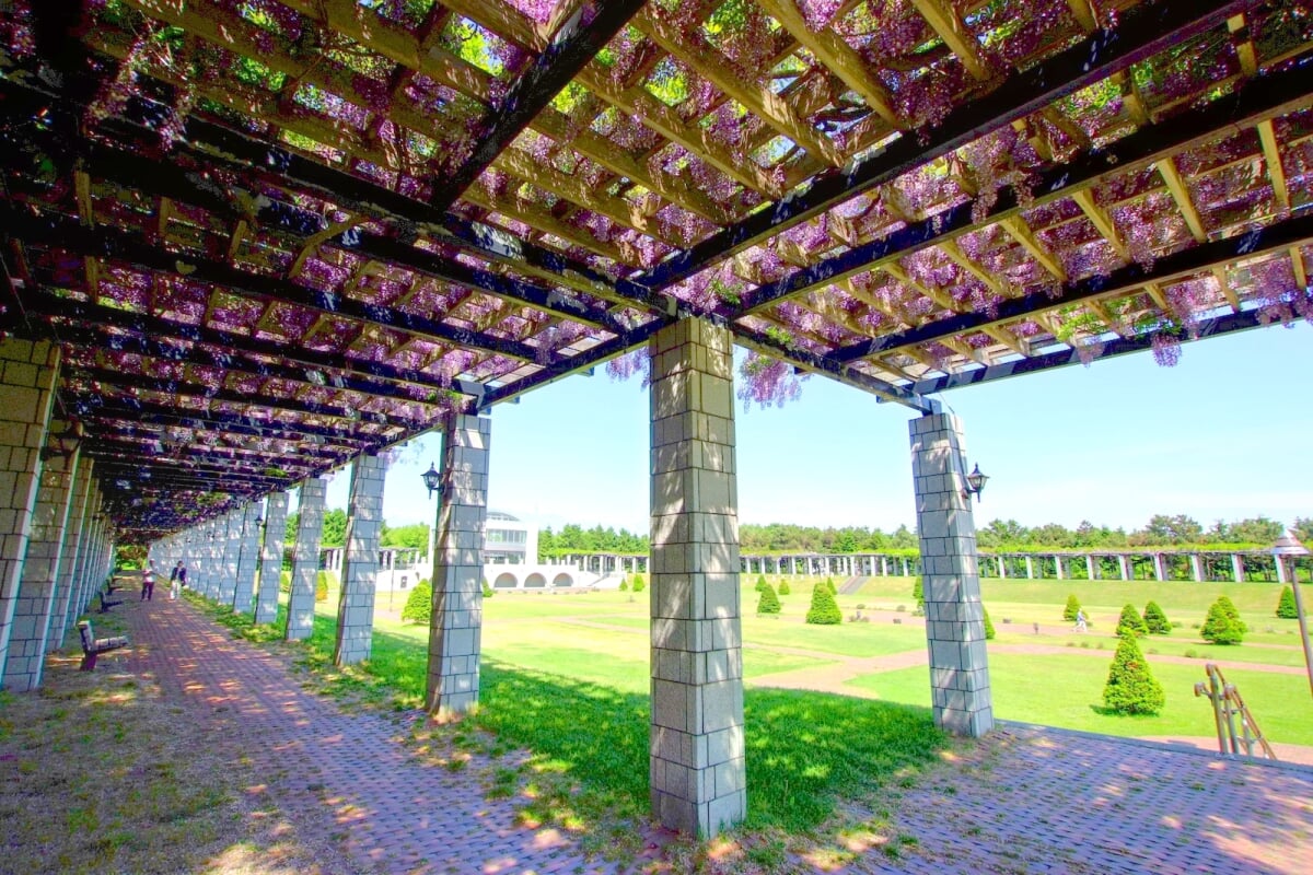 前田公園の写真5