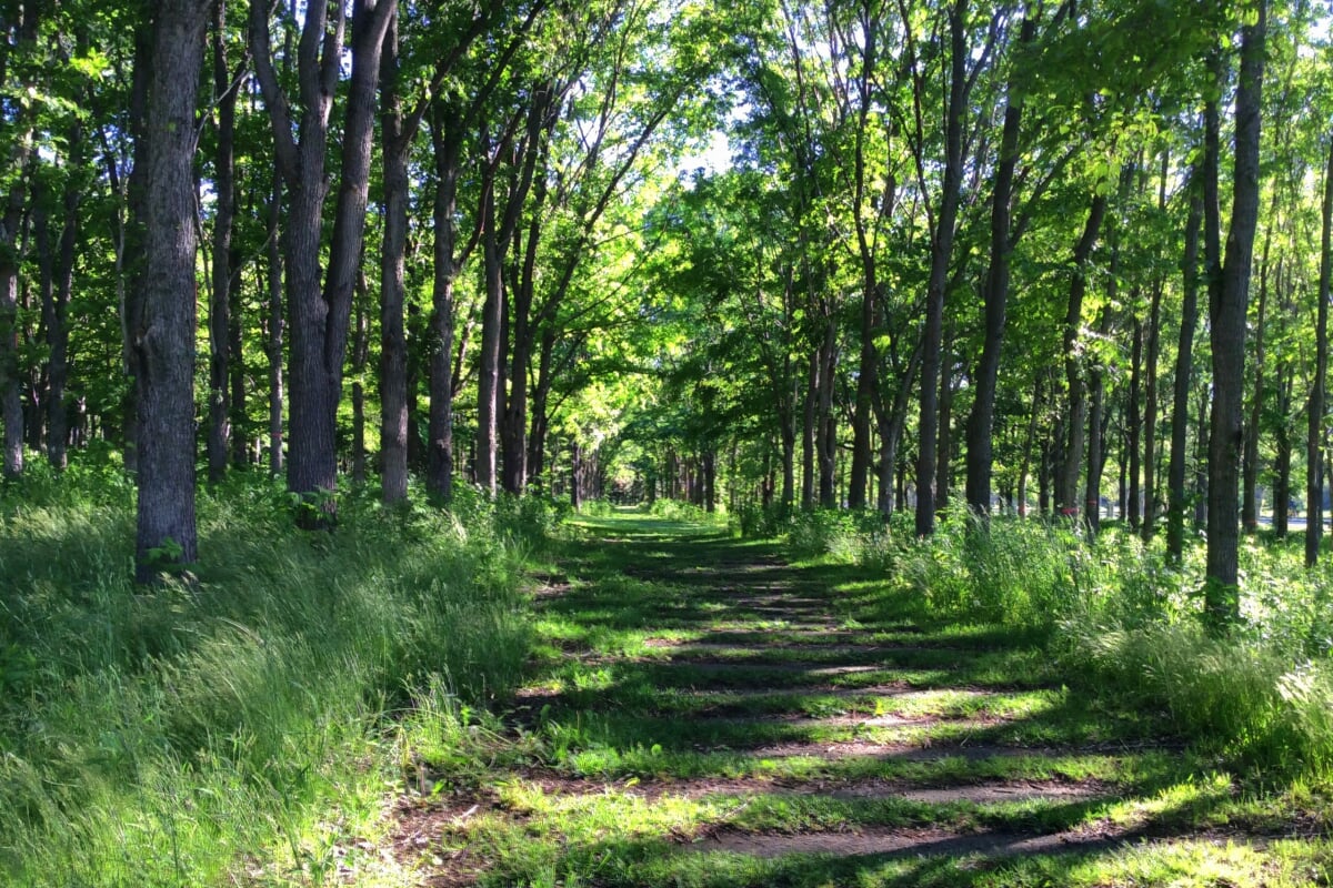 前田公園の写真6