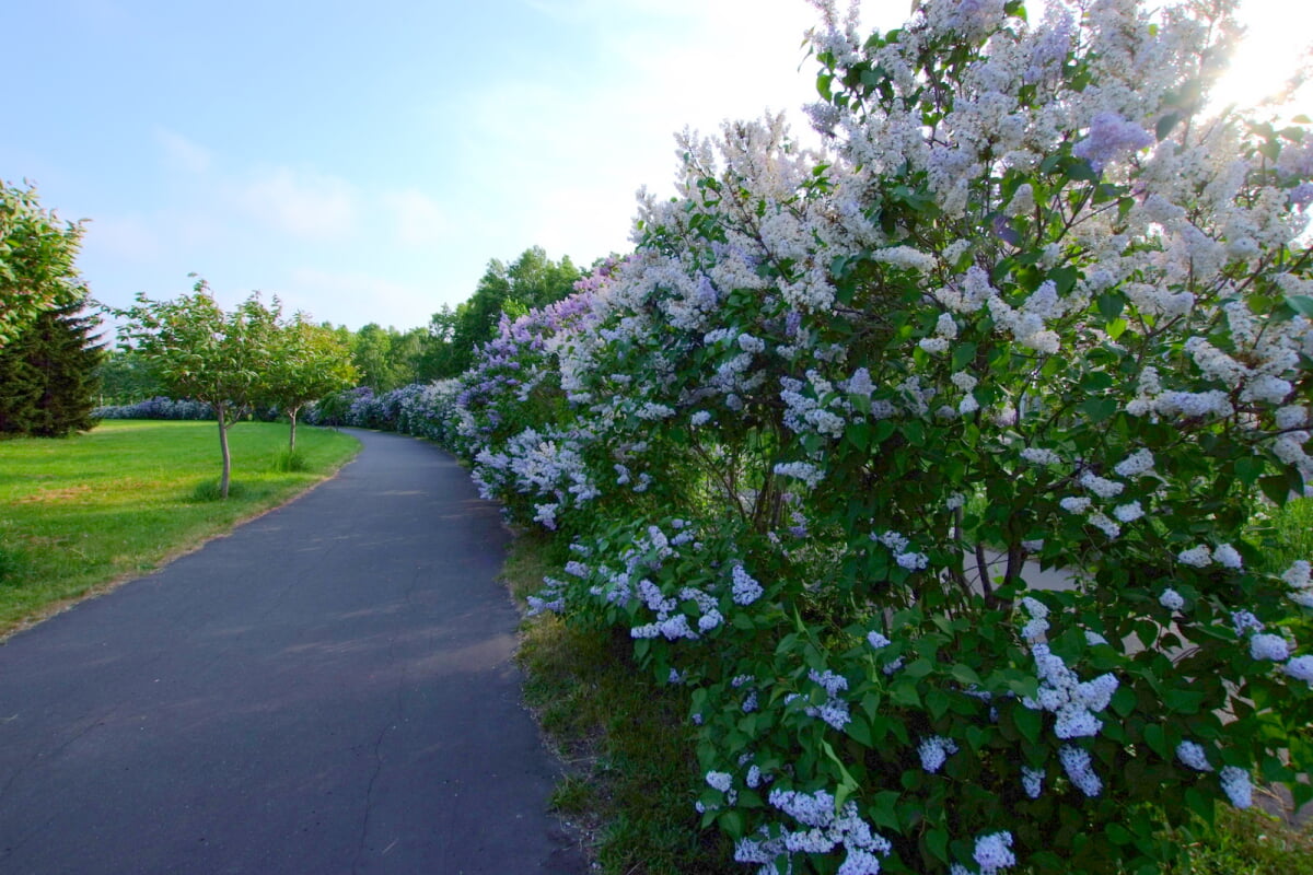 前田公園の写真9
