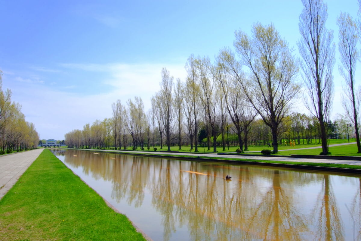 前田公園の写真10