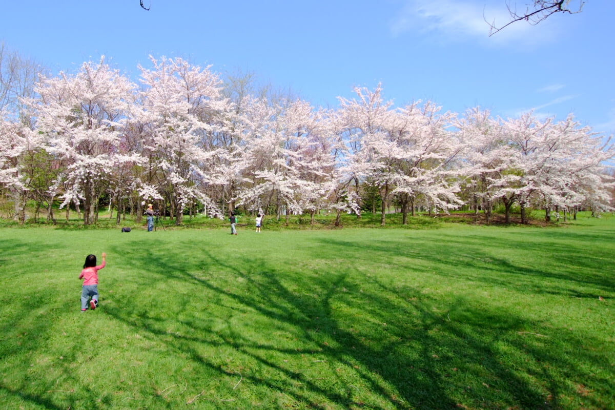 前田公園の写真13