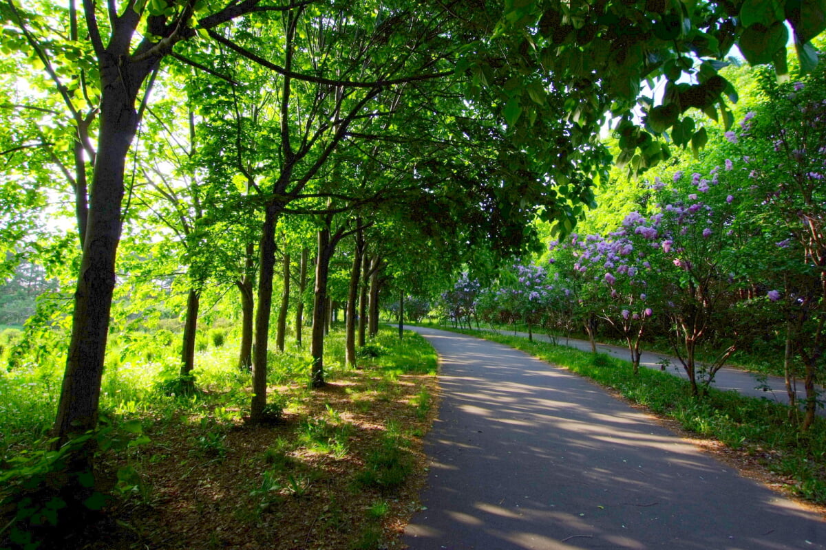 前田公園の写真16